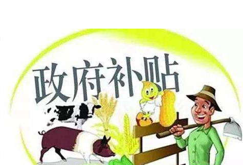 加速发展中医药特色的几项政策措施